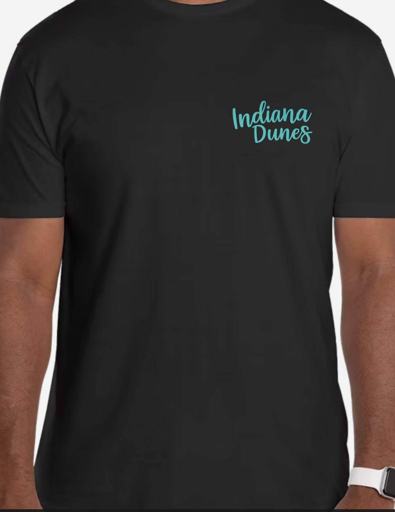 Indiana Dunes Unisex Tee
