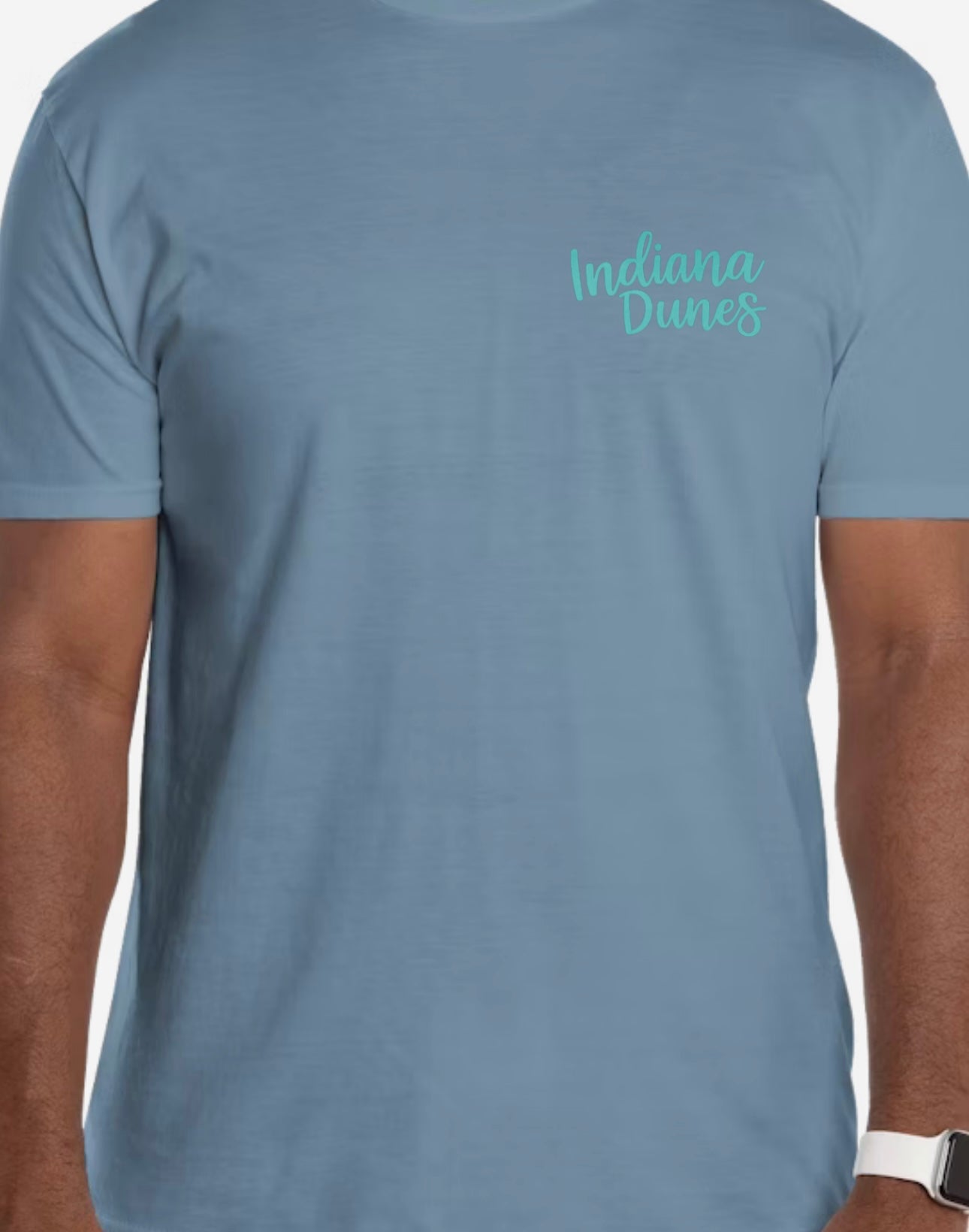 Indiana Dunes Unisex Tee