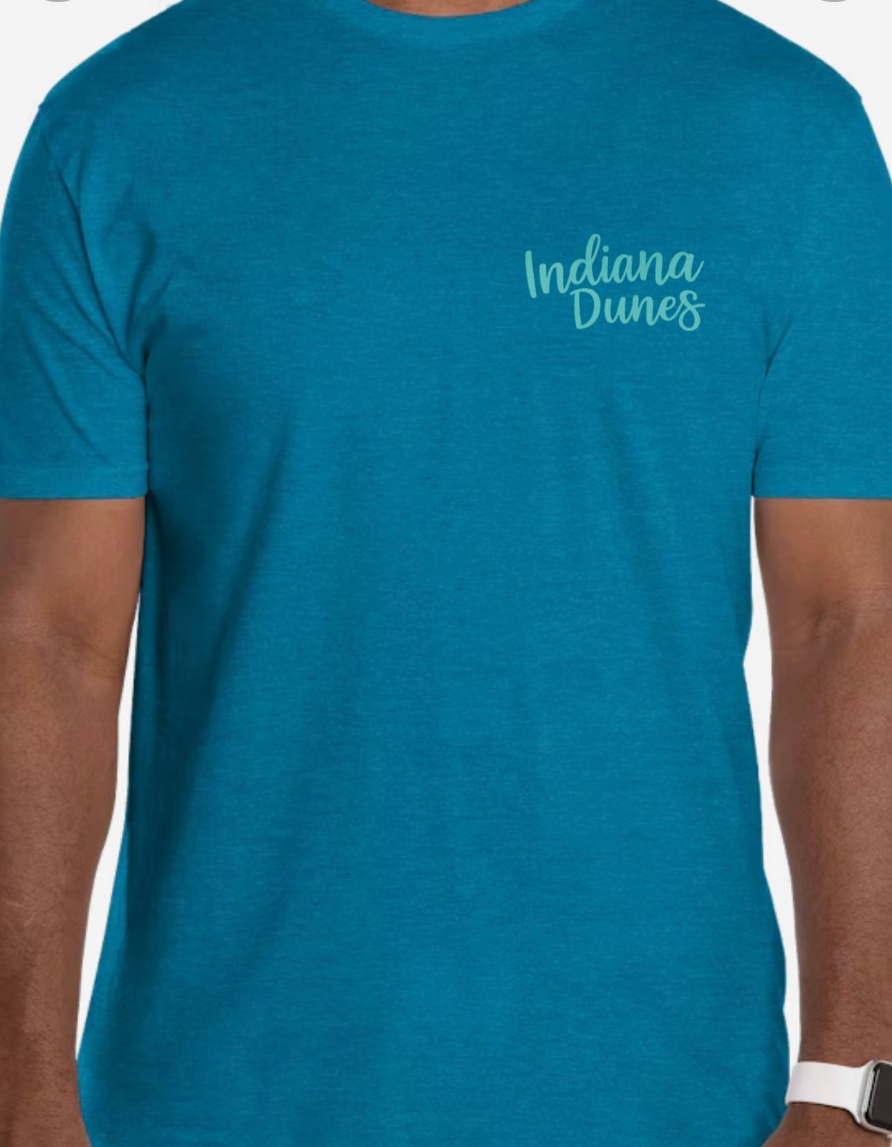 Indiana Dunes Unisex Tee